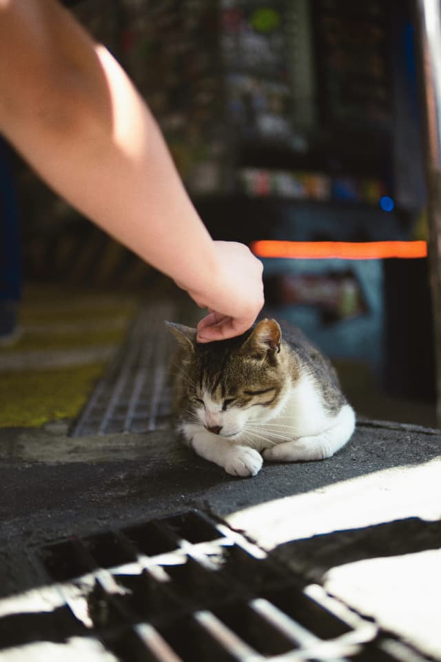 A Moment of Warmth